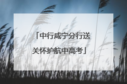 中行咸宁分行送关怀护航中高考