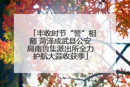 丰收时节“警”相随 菏泽成武县公安局南鲁集派出所全力护航大蒜收获季