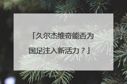 久尔杰维奇能否为国足注入新活力？