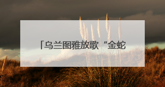 乌兰图雅放歌“金蛇献瑞 龙舞九州”全国龙舟大联动暨漳州传统龙舟邀请赛开幕式