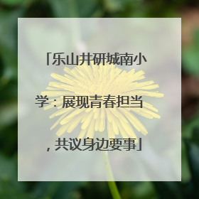 乐山井研城南小学：展现青春担当，共议身边要事