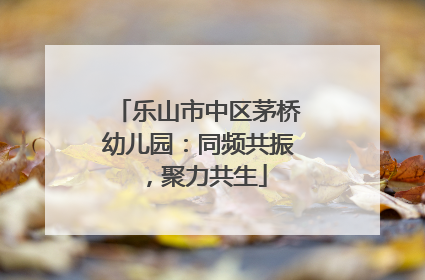 乐山市中区茅桥幼儿园：同频共振，聚力共生