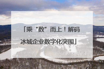 乘“数”而上！解码冰城企业数字化突围