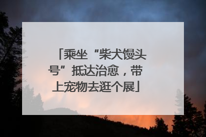 乘坐“柴犬馒头号”抵达治愈，带上宠物去逛个展