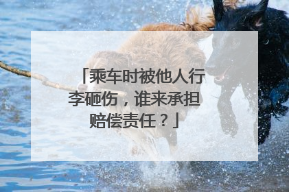 乘车时被他人行李砸伤，谁来承担赔偿责任？