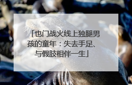 也门战火线上独腿男孩的童年：失去手足、与假肢相伴一生