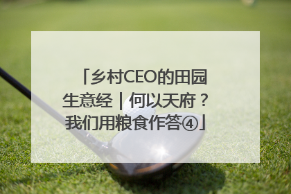 乡村CEO的田园生意经｜何以天府？我们用粮食作答④
