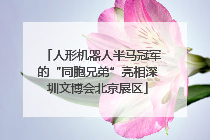 人形机器人半马冠军的“同胞兄弟”亮相深圳文博会北京展区