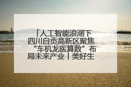 人工智能浪潮下 四川自贡高新区聚焦“车机龙医算数”布局未来产业丨美好生活有“盐”味
