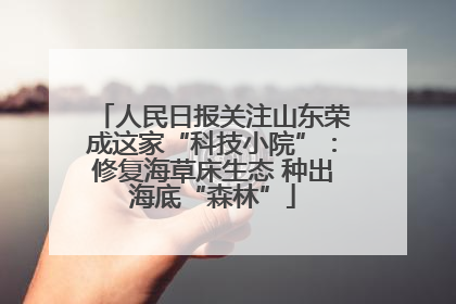 人民日报关注山东荣成这家“科技小院”：修复海草床生态 种出海底“森林”