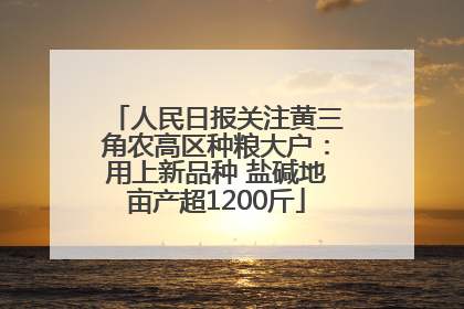 人民日报关注黄三角农高区种粮大户：用上新品种 盐碱地亩产超1200斤