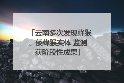 云南多次发现蜂猴、倭蜂猴实体 监测获阶段性成果