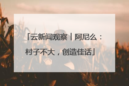 云新闻观察︱阿尼么：村子不大，创造佳话