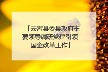云霄县委县政府主要领导调研党建引领国企改革工作