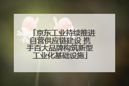 京东工业持续推进自营供应链建设 携手百大品牌构筑新型工业化基础设施