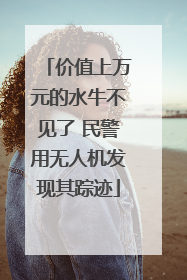 价值上万元的水牛不见了 民警用无人机发现其踪迹