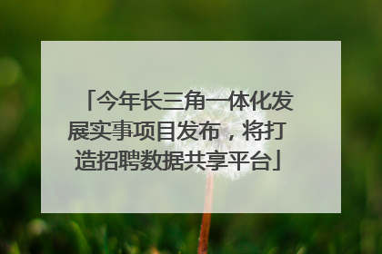 今年长三角一体化发展实事项目发布，将打造招聘数据共享平台
