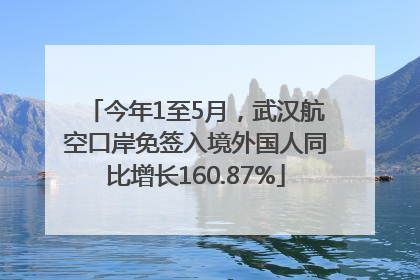 今年1至5月，武汉航空口岸免签入境外国人同比增长160.87%