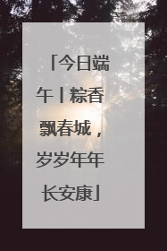 今日端午丨粽香飘春城，岁岁年年长安康