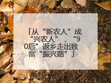 从“新农人”成“兴农人”，“90后”返乡走出致富“振兴路”