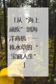 从“海上顽疾”到海洋商机：一株水草的“宝藏人生”