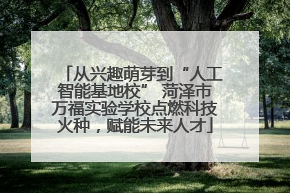 从兴趣萌芽到“人工智能基地校” 菏泽市万福实验学校点燃科技火种，赋能未来人才