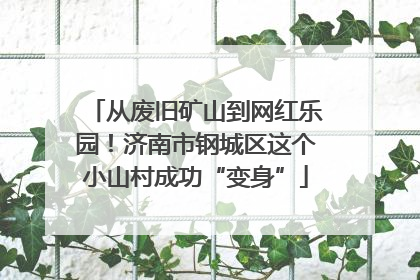从废旧矿山到网红乐园！济南市钢城区这个小山村成功“变身”