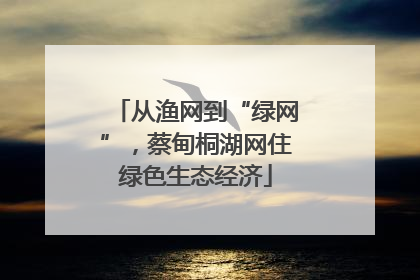 从渔网到“绿网”，蔡甸桐湖网住绿色生态经济