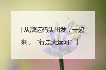 从漕运码头出发，一起来，“行走大运河”