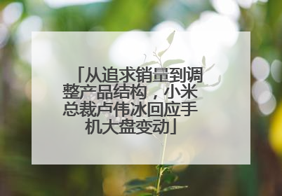 从追求销量到调整产品结构，小米总裁卢伟冰回应手机大盘变动