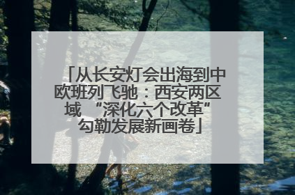 从长安灯会出海到中欧班列飞驰：西安两区域 “深化六个改革” 勾勒发展新画卷