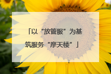 以“放管服”为基筑服务“摩天楼”