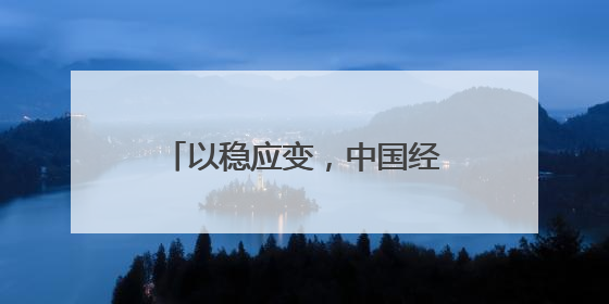 以稳应变，中国经济展现韧性与潜力