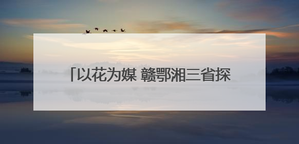 以花为媒 赣鄂湘三省探寻跨城文旅体验新玩法