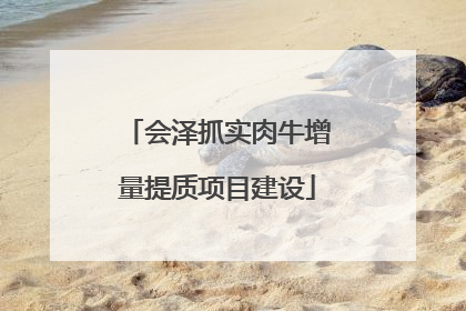 会泽抓实肉牛增量提质项目建设