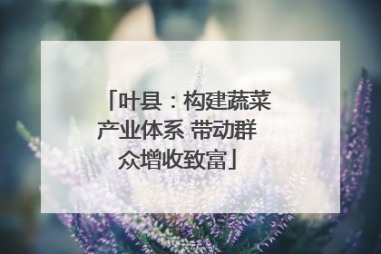 叶县：构建蔬菜产业体系 带动群众增收致富