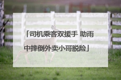司机乘客双援手 助雨中摔倒外卖小哥脱险