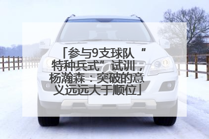 参与9支球队“特种兵式”试训，杨瀚森：突破的意义远远大于顺位