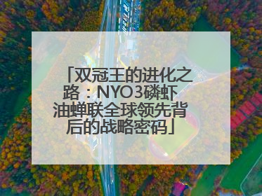 双冠王的进化之路：NYO3磷虾油蝉联全球领先背后的战略密码