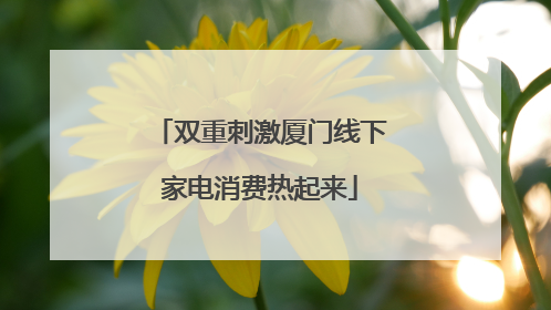 双重刺激厦门线下家电消费热起来