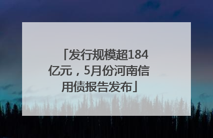 发行规模超184亿元，5月份河南信用债报告发布