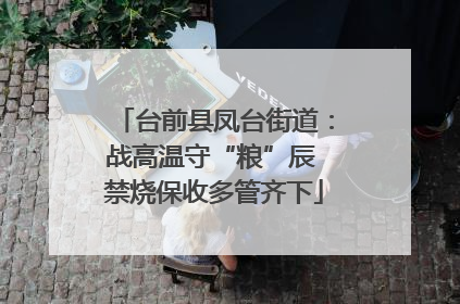 台前县凤台街道：战高温守“粮”辰 禁烧保收多管齐下