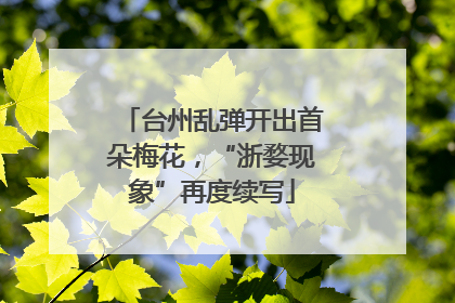 台州乱弹开出首朵梅花，“浙婺现象”再度续写