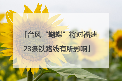 台风“蝴蝶”将对福建23条铁路线有所影响