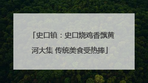 史口镇：史口烧鸡香飘黄河大集 传统美食受热捧