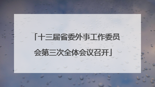 十三届省委外事工作委员会第三次全体会议召开