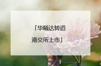 华曦达转道港交所上市