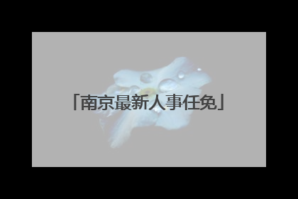 南京最新人事任免