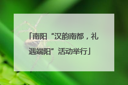 南阳“汉韵南都，礼遇端阳”活动举行