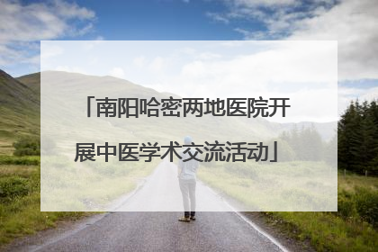 南阳哈密两地医院开展中医学术交流活动